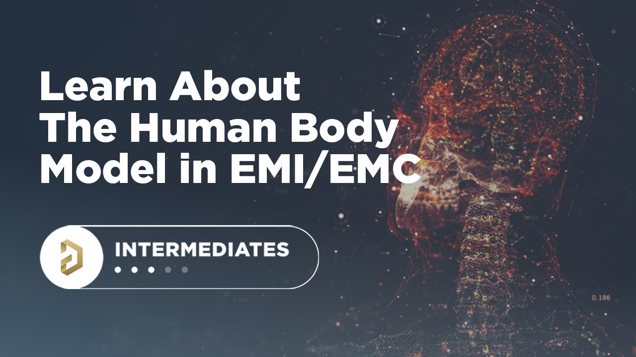 Модель человеческого тела в ЭМС