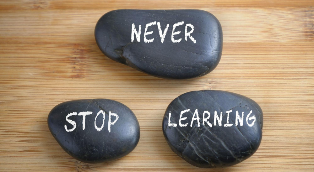 words on rocks "never. stop. learning."